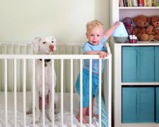 Ein kleiner Mann mit einem guten Herzen: Der Hund fürchtet vor jedem, außer seinem kleinen Freund