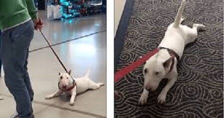 Без названия