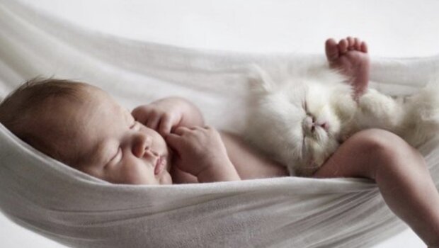 Die Katze hält das Baby. Quelle: www. wday.сom