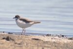 IMG_20200709_211130