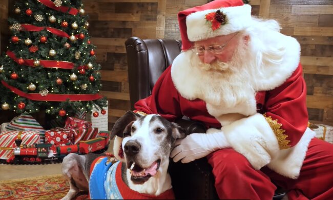 Besuch vom Weihnachtsmann. Quelle: Youtube Screenshot