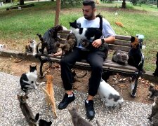 „Straßenkatzen statt Freunde“: Warum ein Rumäne Tiere den Menschen vorzieht
