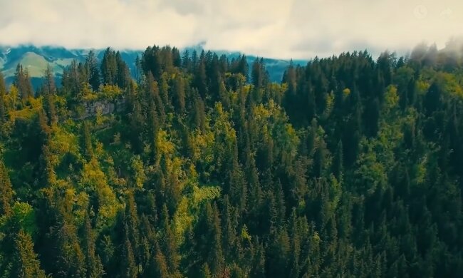 Davis Wald. Quelle: YouTube Screenshot