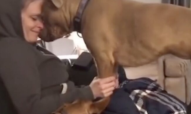 Frau und Hund. Quelle: Screenshot Youtube