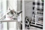 Katze Stella und ihr gemütliches Haus. Quelle: Screenshot Youtube