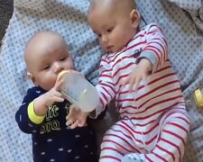 Babies. Quelle: Youtube Screenshot