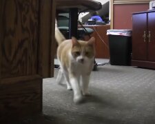 Sharon. Quelle: Screenshot Youtube