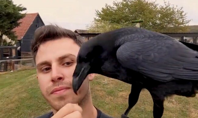 Berührende und ungewöhnliche Freundschaft. Quelle: Screenshot YouTube