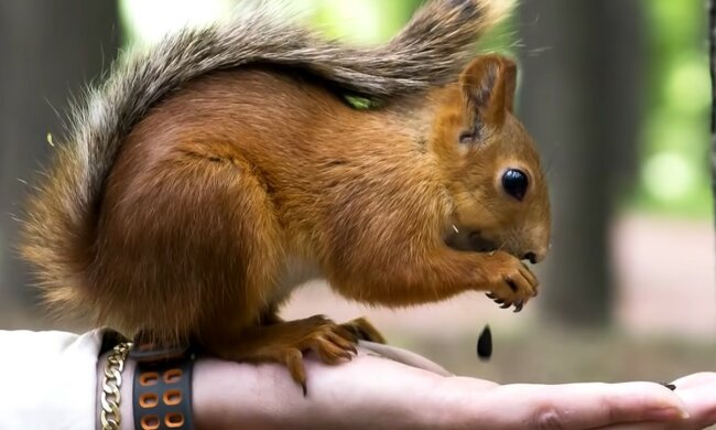 Lebensveränderndes Treffen