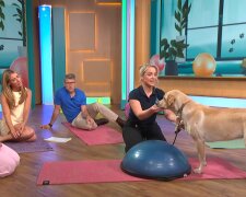 Hunde im Yoga-Studio verboten. Quelle: Youtube Screenshot