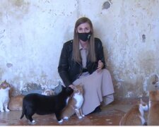 "Leben im Waschraum": Frau verwandelte ihre Garderobe in ein Katzenklo