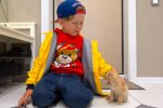 9-jähriger Junge spendet 2000 Dollar aus dem Gewinn eines Limonadenstandes, um Katzen im Tierheim glücklich zu machen
