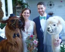 Einzigartige Gäste bei der Hochzeit. Quelle: Screenshot YouTube