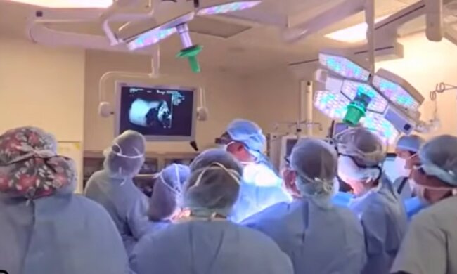 Die Ärzte. Quelle: Youtube Screenshot