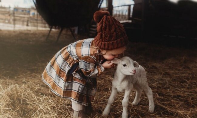 Foto: family.com