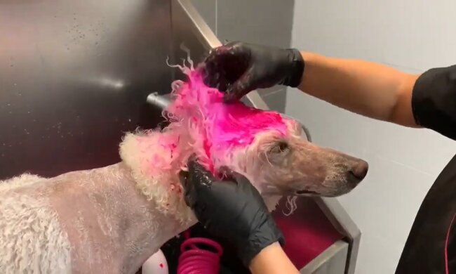 Illustratives Bild. Quelle: Youtube Screenshot