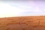 Bild auf dem Feld. Quelle: Screenshot YouTube