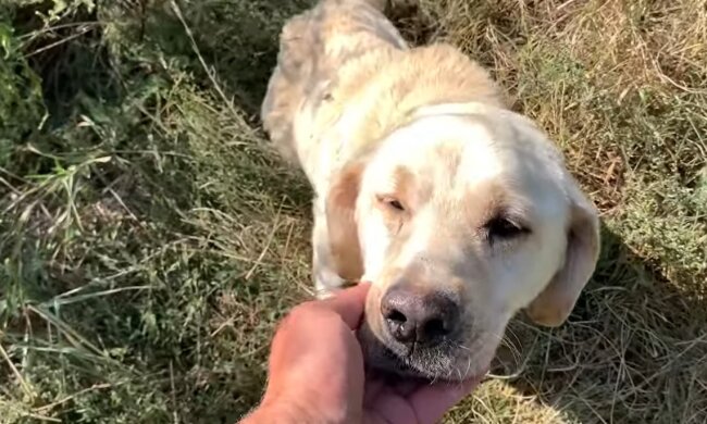 Max. Quelle: Youtube Screenshot