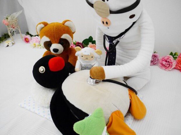 In Japan werden alte Teddybären ins "Krankenhaus" geschickt, und nach der Behandlung sind sie fast nicht zu erkennen