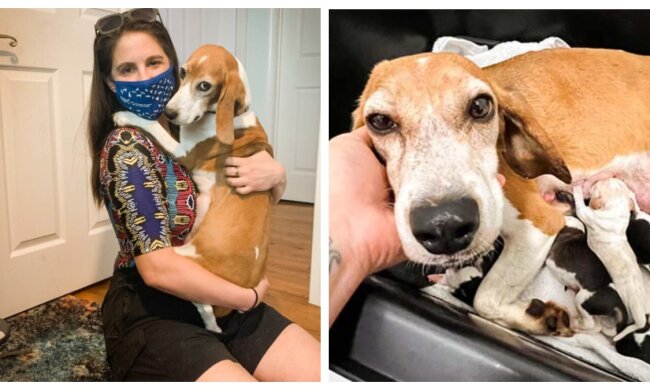 Frau und Hundemutter. Quelle: inspiremore.com