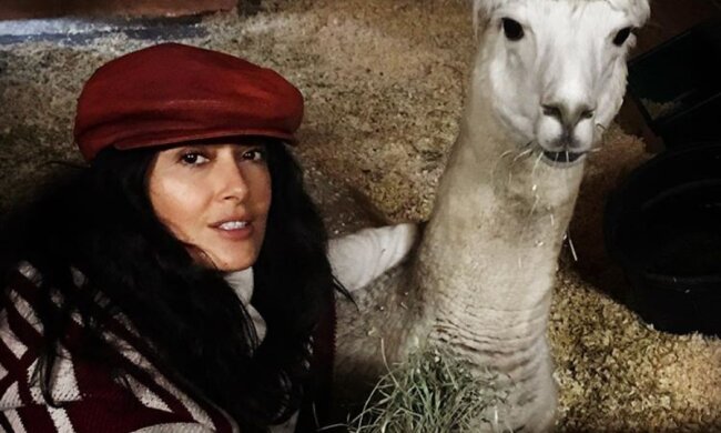 "Sie finden mich selbst": Die Geschichte von Salma Hayek, einer Schauspielerin, die Tiere rettet