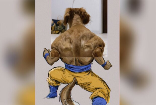 Die Besitzerin veröffentlichte ein Foto von ihrem Hund, auf dem er einem Bodybuilder ähnlich sieht