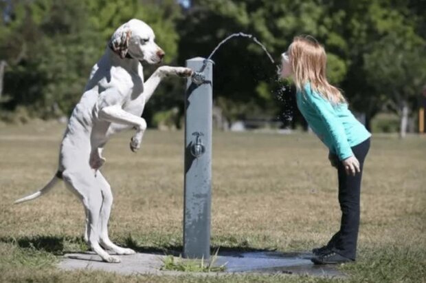 Die Freundschaft von Kindern und Hunden ist die treueste