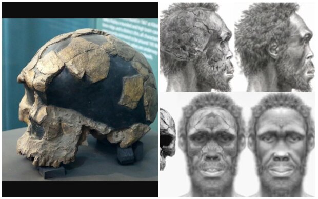 Es wurden die Überreste des Herto-Menschen entdeckt. Quelle: Screenshot Youtube