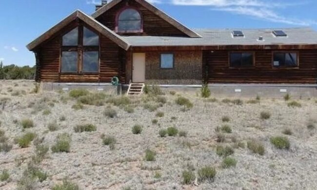 Paradies für Katzen: Das Haus eines Katzenliebhabers, der seine Katzen mit allen Bedingungen versorgte, steht zum Verkauf