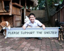 Der kleine Junge berührte seine Eltern mit seiner Liebe zu Tieren, und sie halfen ihm, ein Tierheim für streunende Hunde zu eröffnen