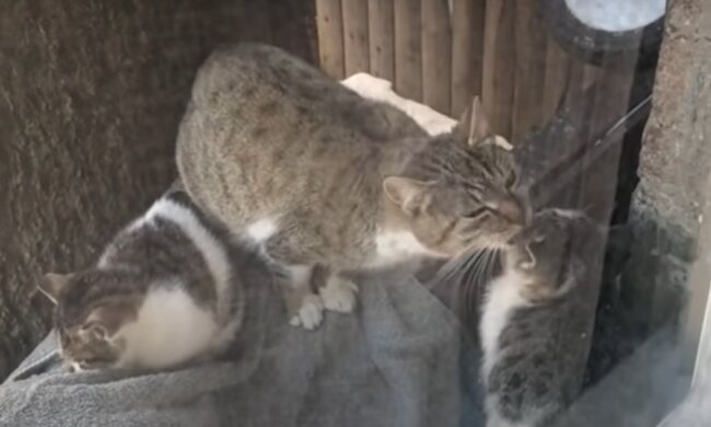 Chunk Chunk. Quelle: YouTube Screenshot