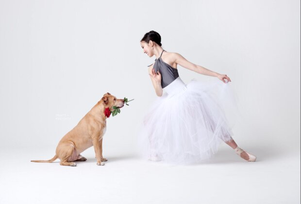 "Sie brauchen einen Besitzer": Ballerinas tanzen mit Tierheimtieren, um ein Zuhause für sie zu finden
