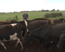 Steigende Kosten und sinkende Preise setzen Bauern unter Druck. Quelle: Youtube Screenshot