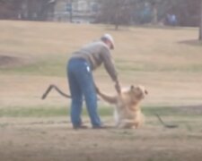 Der ungezogene Hund wollte den Park nicht verlassen, und dann fand der Besitzer eine ungewöhnliche Lösung