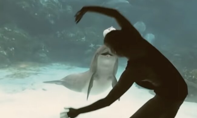 Mädchen und Delphin. Quelle: Screenshot YouTube