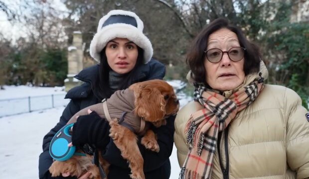 Vermieter vs. Tierliebe. Quelle: Youtube Screenshot