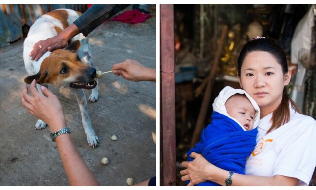 Frauen, Baby und Hund. Quelle: fishki.com
