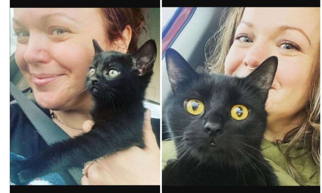 Allison, Kätzchen Luna und seine Mutter Queenie. Quelle: Screenshot Youtube