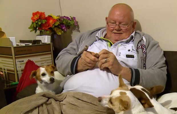 Jack Russell Trio im Viertel bekannt. Quelle: Youtube Screenshot