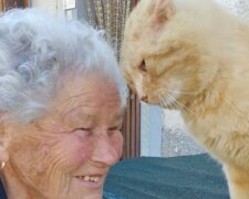 Oma verlor ihre Katze während des Erdbebens, aber 4 Jahre später trafen sie sich