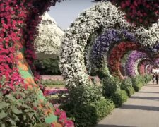 Schöner Garten. Quelle: Screenshot YoouTube