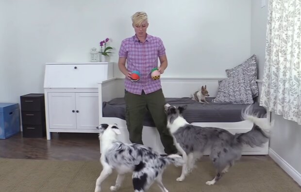 Emily traniert ihre Hunde. Quelle: Screenshot Youtube