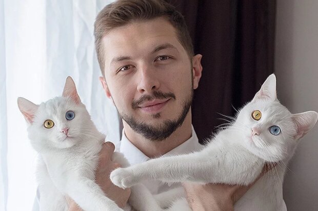 Der Mann kam zu einem Tierheim, um ein Kätzchen zu sich nach Hause zu nehmen, doch er konnte seinen Zwillingsbruder alleine nicht lassen