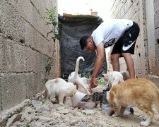 Antonio kümmert sich liebevoll um streunende Katzen. Quelle: Youtube Screenshot