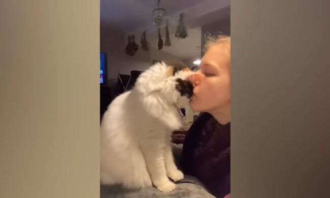 Eine Frau und ihre treue Reisebegleiterin. Quelle: Youtube Screenshot