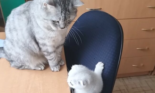 Papa und Sohn. Quelle: Youtube Screenshot