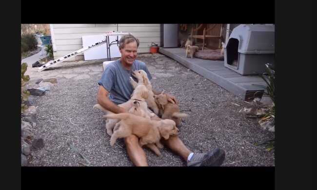 Ein Herz aus Gold. Quelle: Youtube Screenshot