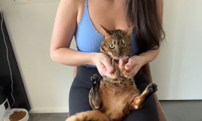 Eine besondere Bindung. Quelle: Youtube Screenshot