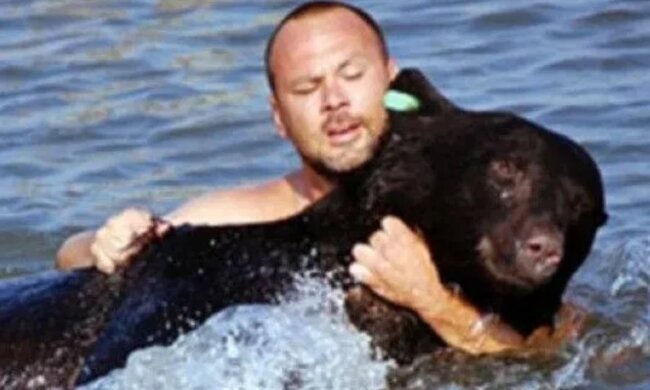 “Der Bär hatte nur noch wenige Minuten Zeit zu leben”: Ein tapferer Mann griff in das Schicksal dem Tiere ein. Plus ein Held, plus ein Leben