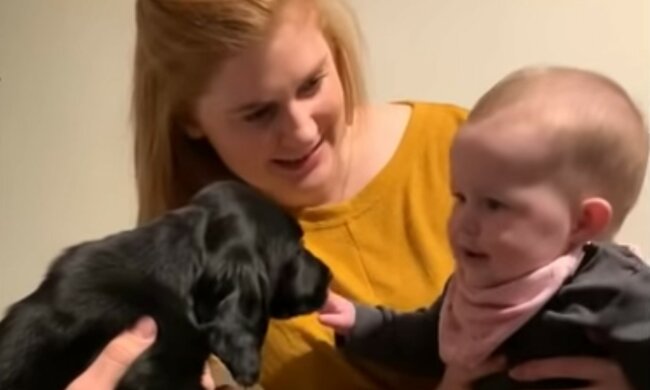 Unterstützung eines wahren Freundes. Quelle: Screenshot YouTube